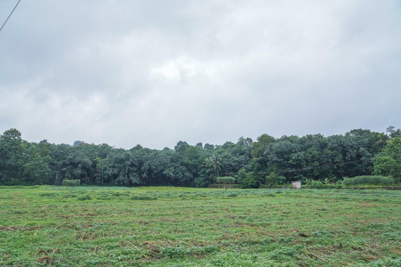 Thanal Premium Villa By - A Place To Call Your Home Muvattupuzha Exterior foto
